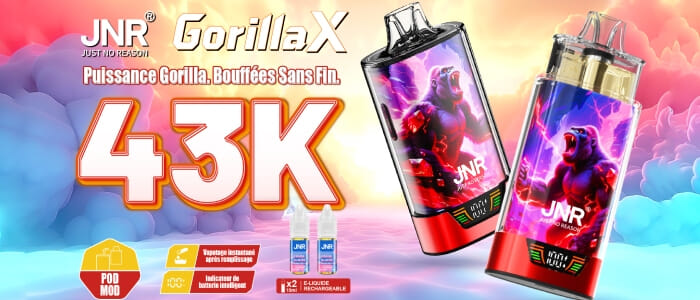 presentation Gorilla X 43K